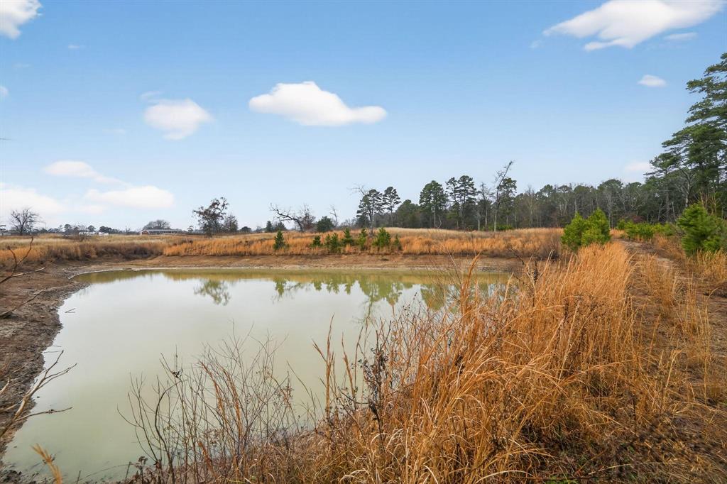 868 County Road 2920 Alba, TX 75410 - Photo 29 of 36 a view of a lake with houses in the back