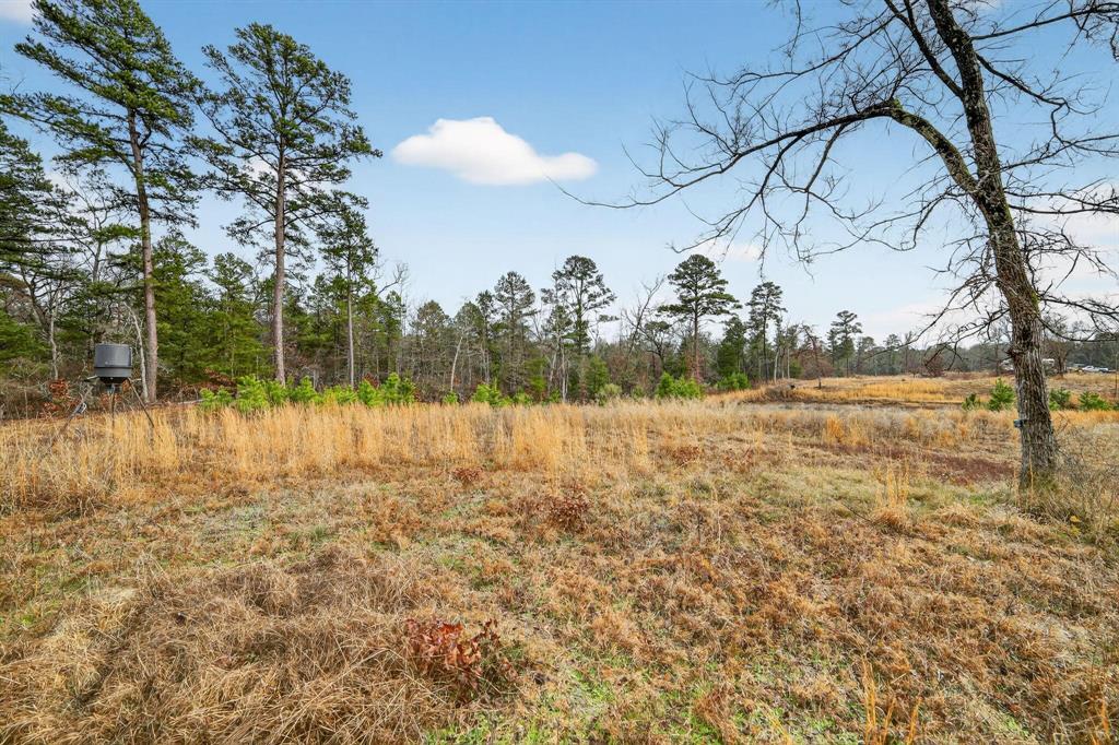 868 County Road 2920 Alba, TX 75410 - Photo 30 of 36
