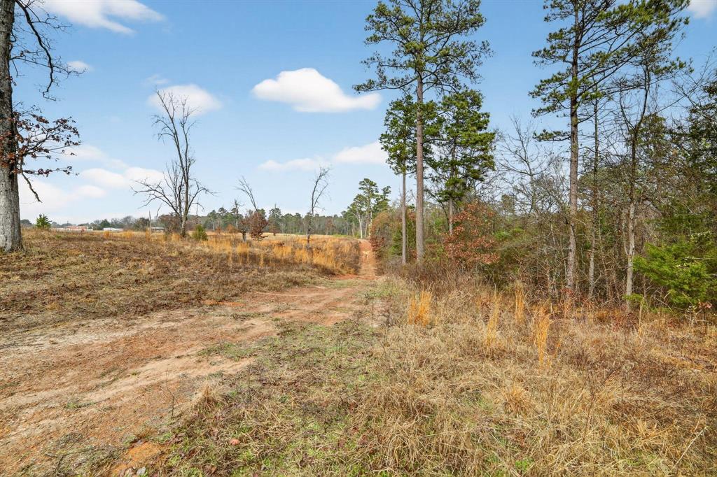 868 County Road 2920 Alba, TX 75410 - Photo 31 of 36 a view of ocean