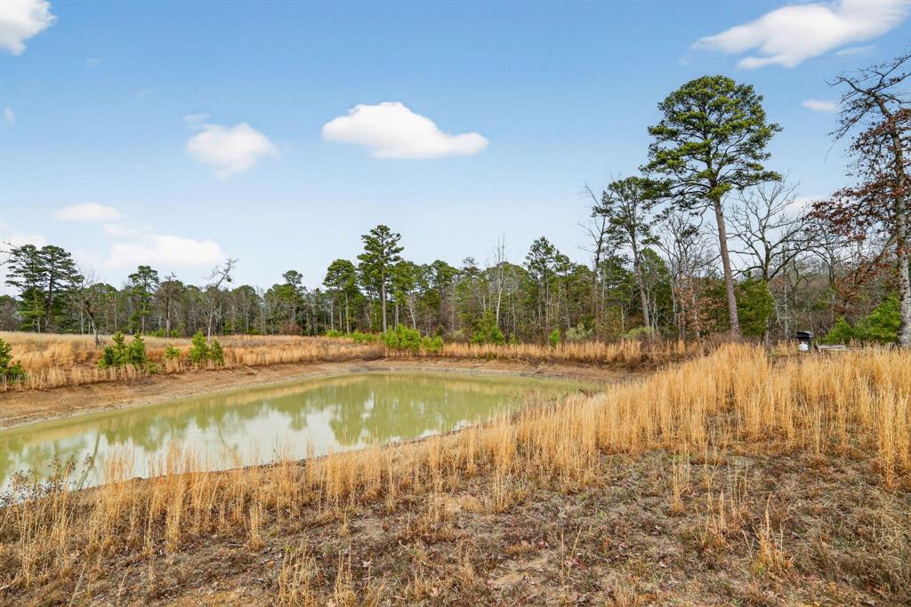 868 County Road 2920 Alba, TX 75410 - Photo 32 of 36 a view of a lake view