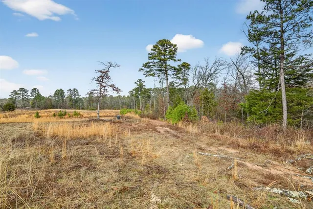 $115,000 | 868 County Road 2920, Alba, TX 75410