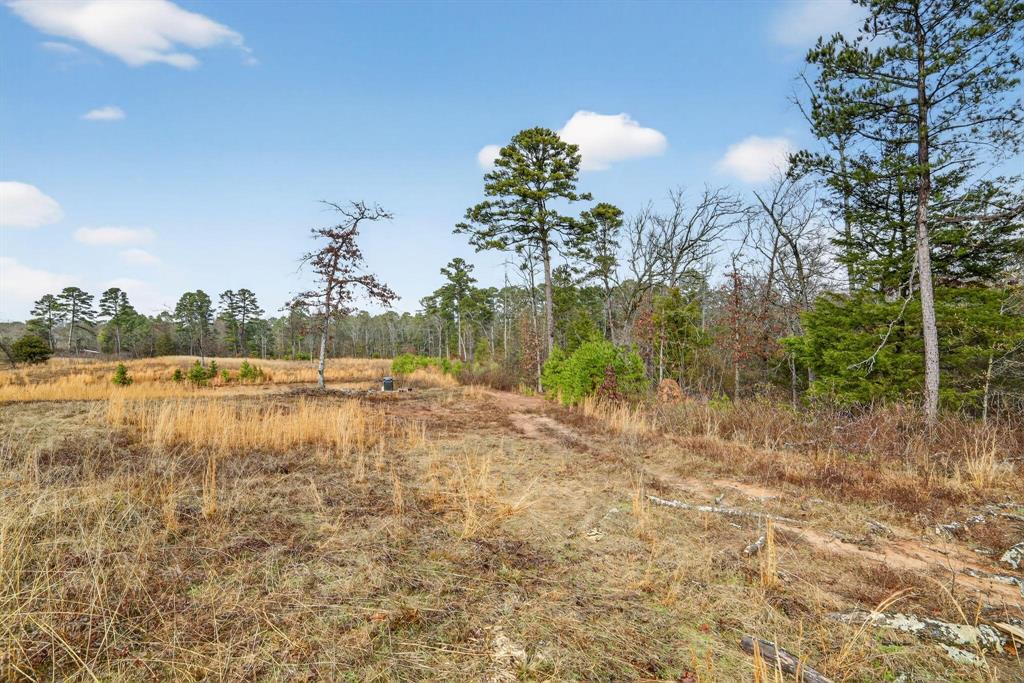 868 County Road 2920 Alba, TX 75410 - Photo 33 of 36 a view of a lake view