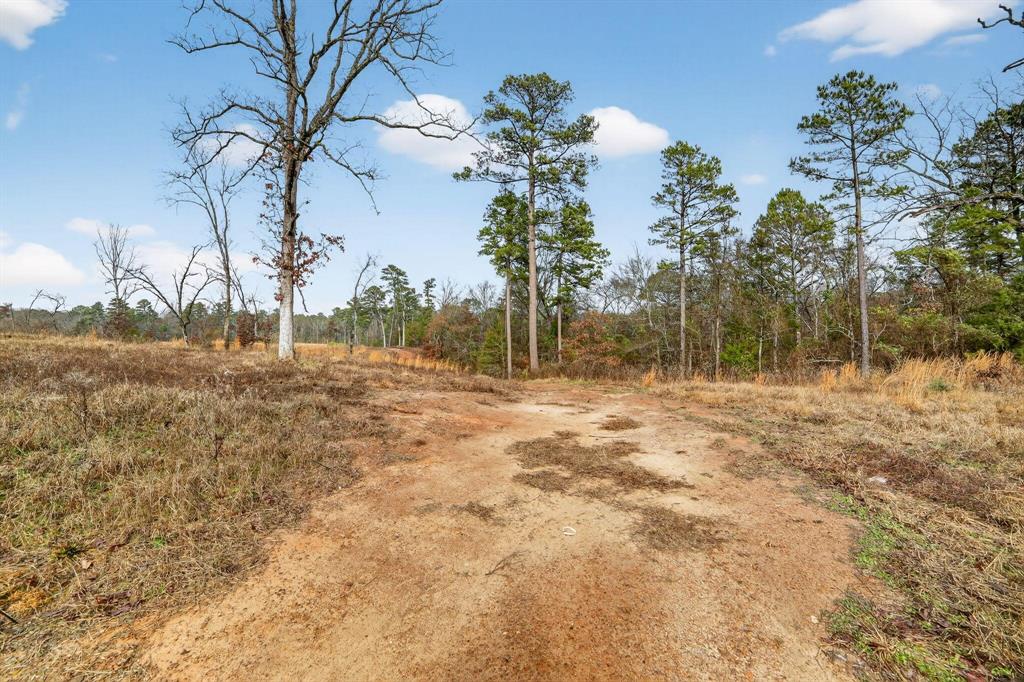 868 County Road 2920 Alba, TX 75410 - Photo 34 of 36 a view of backyard space
