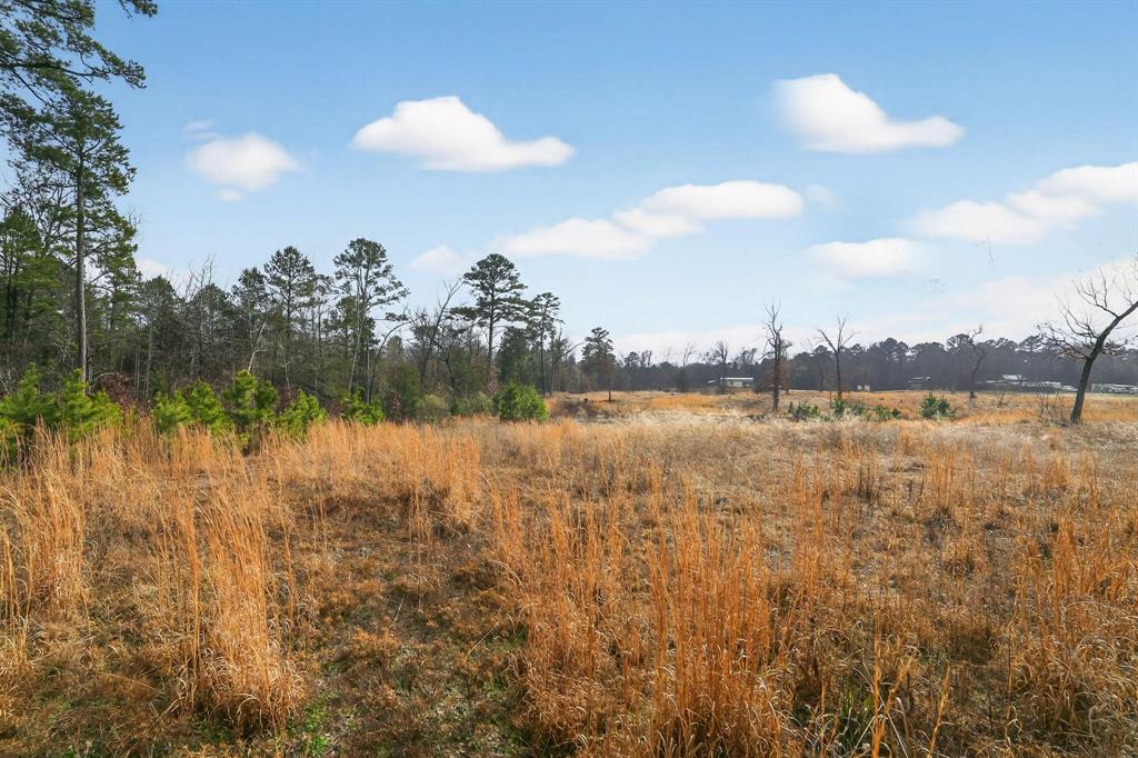 868 County Road 2920 Alba, TX 75410 - Photo 35 of 36