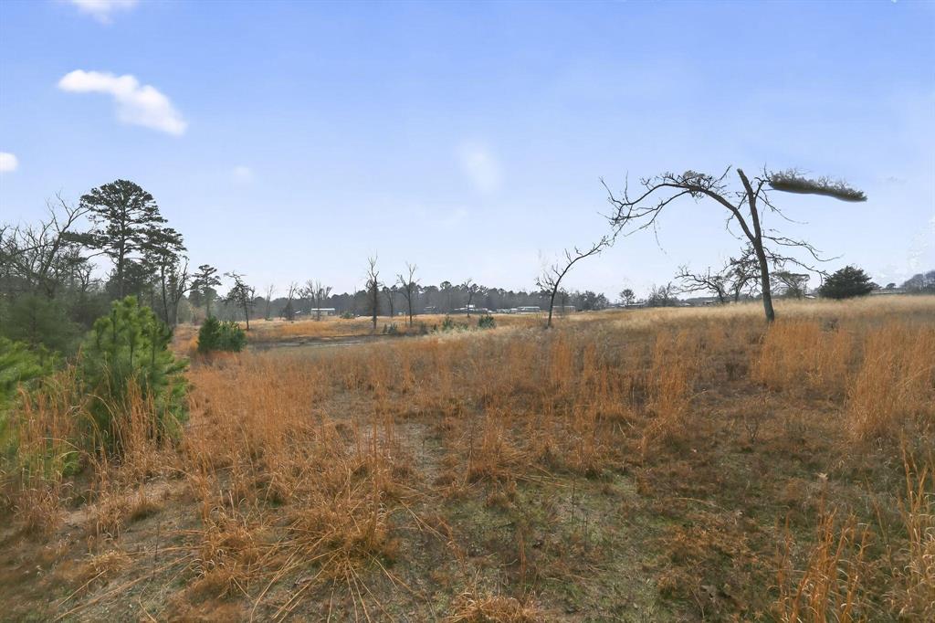 868 County Road 2920 Alba, TX 75410 - Photo 36 of 36 a picture of a lake and mountain view