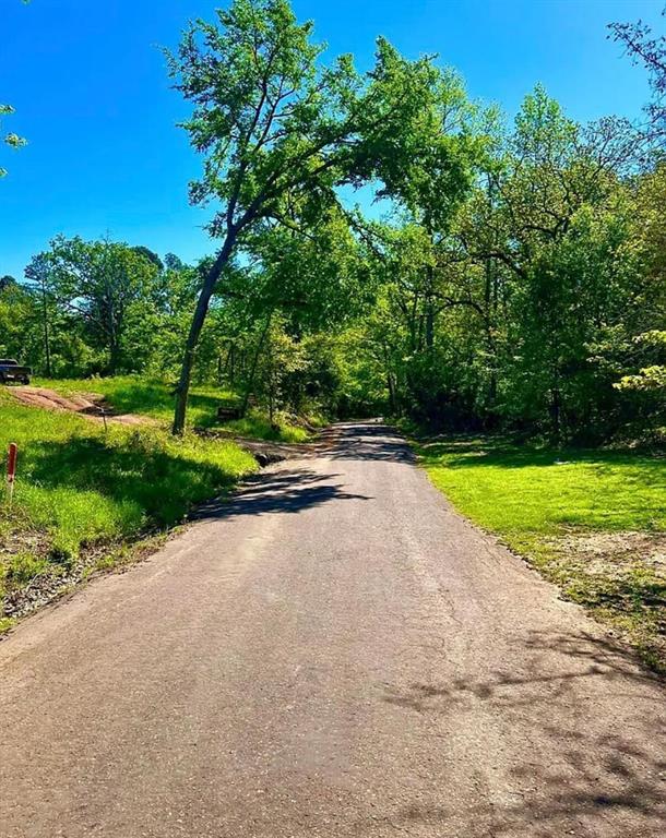 868 County Road 2920 Alba, TX 75410 - Photo 4 of 36 a view of swimming pool with a yard