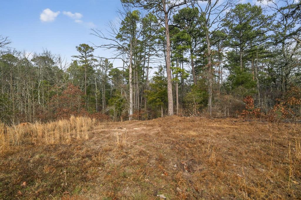 868 County Road 2920 Alba, TX 75410 - Photo 5 of 36 a backyard of a house with lots of green space