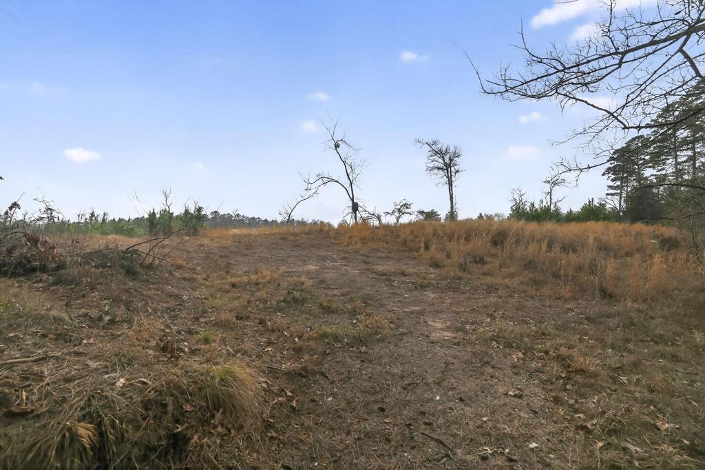 868 County Road 2920 Alba, TX 75410 - Photo 7 of 36 a view of mountain