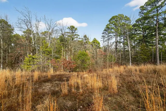 a view of a lake with a tree in the background