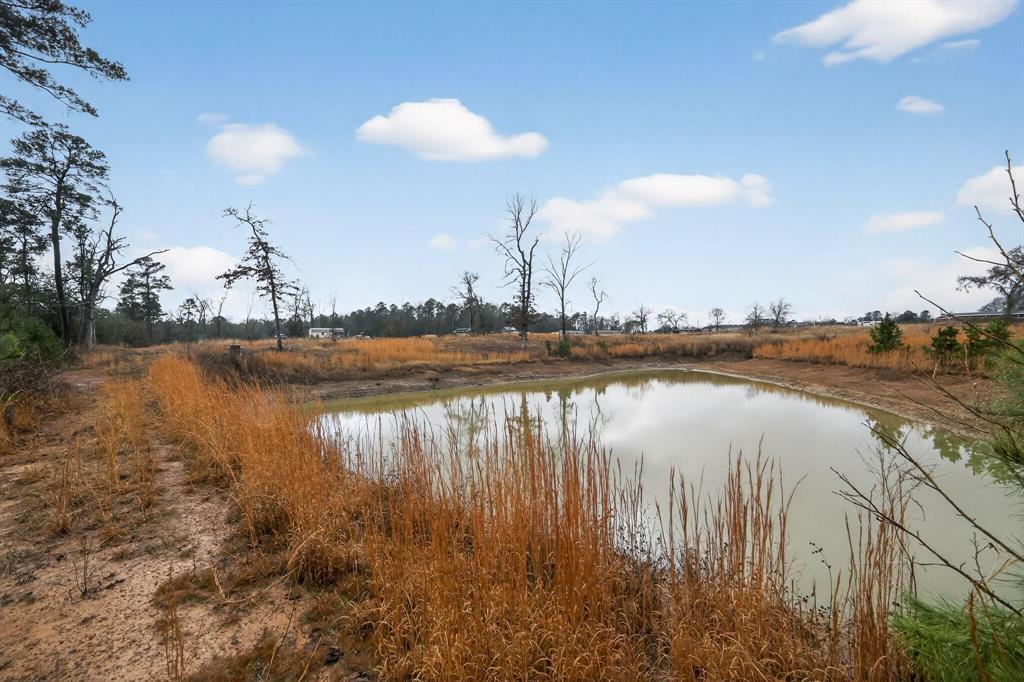 868 County Road 2920 Alba, TX 75410 - Photo 9 of 36