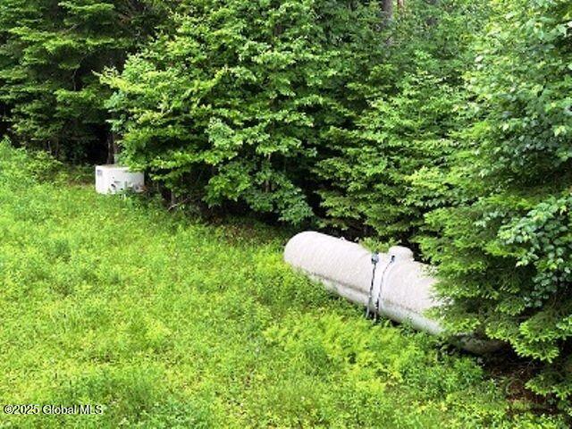 11 Beauregard Way Minerva, NY 12851 - Photo 17 of 18 propanetank