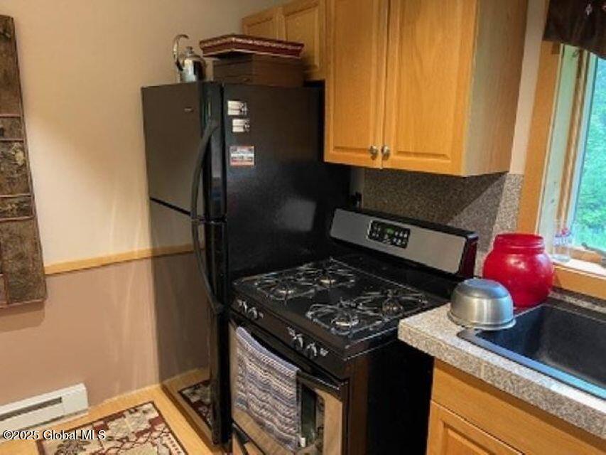 11 Beauregard Way Minerva, NY 12851 - Photo 7 of 18 refst