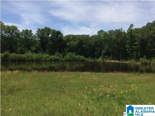 49 County Road Clanton, AL 35045 - Photo 2 of 4