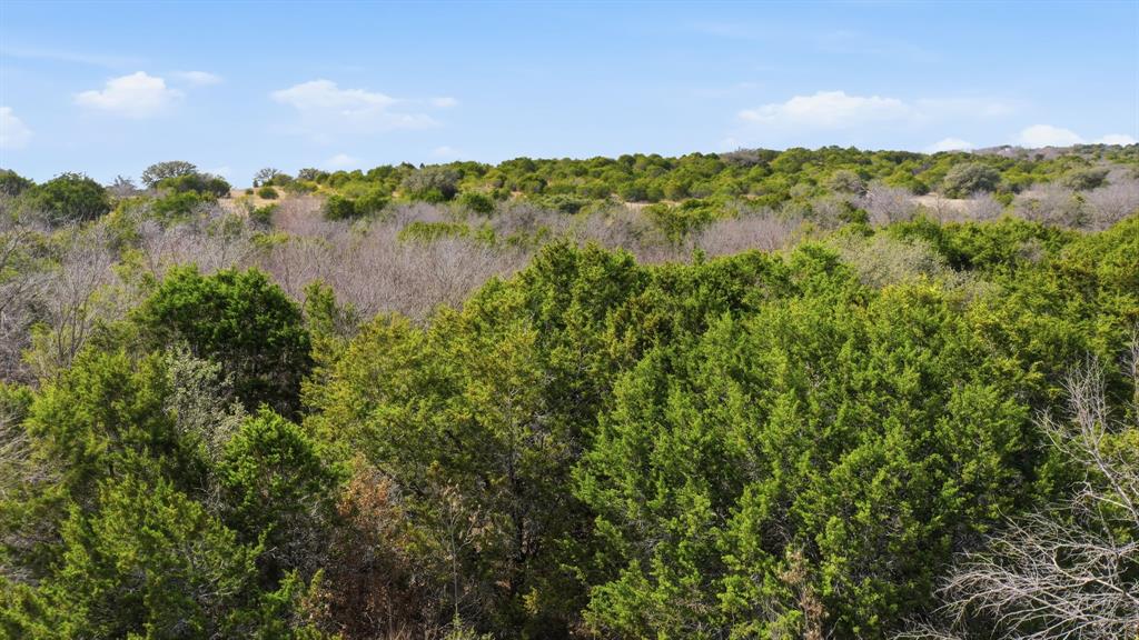 Tbd Bluegill Ridge Bluff Dale, TX 76433 - Photo 11 of 21 a view of a lake from a yard