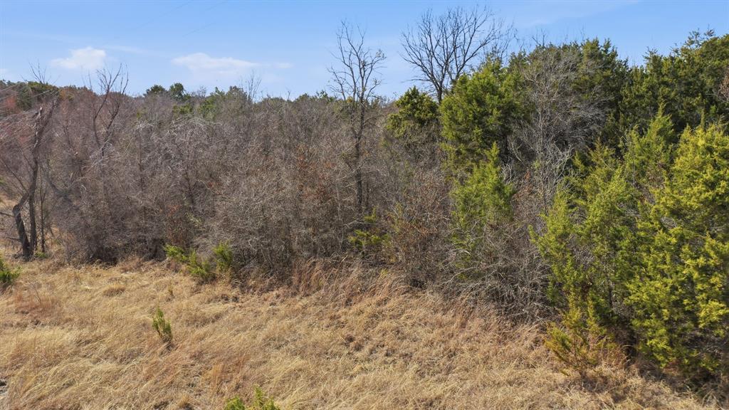 Tbd Bluegill Ridge Bluff Dale, TX 76433 - Photo 13 of 21 a view of a large yard with lots of bushes