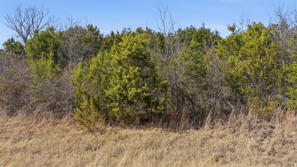 Tbd Bluegill Ridge Bluff Dale, TX 76433 - Photo 14 of 21 a view of a field of grass and trees