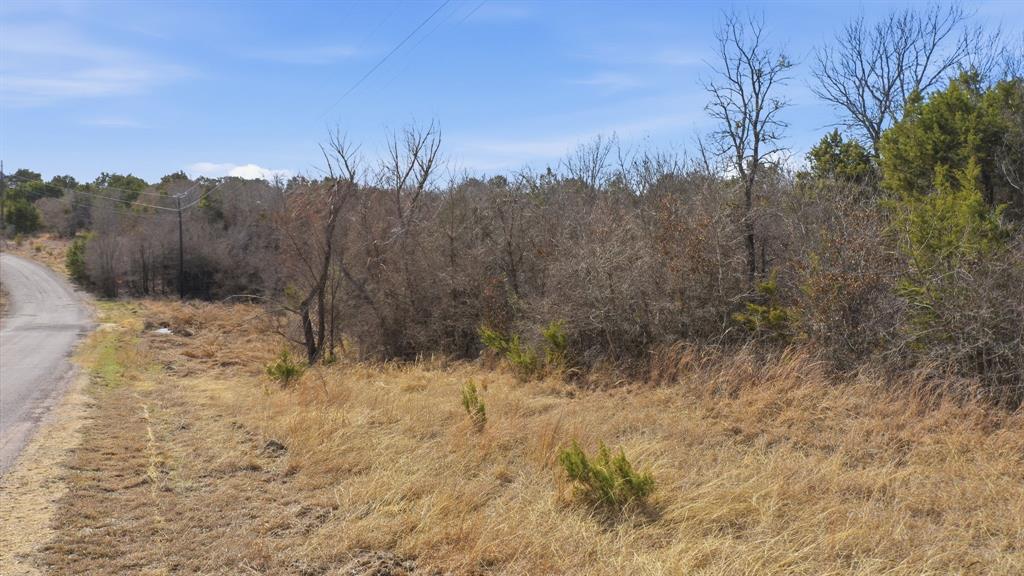 Tbd Bluegill Ridge Bluff Dale, TX 76433 - Photo 15 of 21 a view of a dry yard