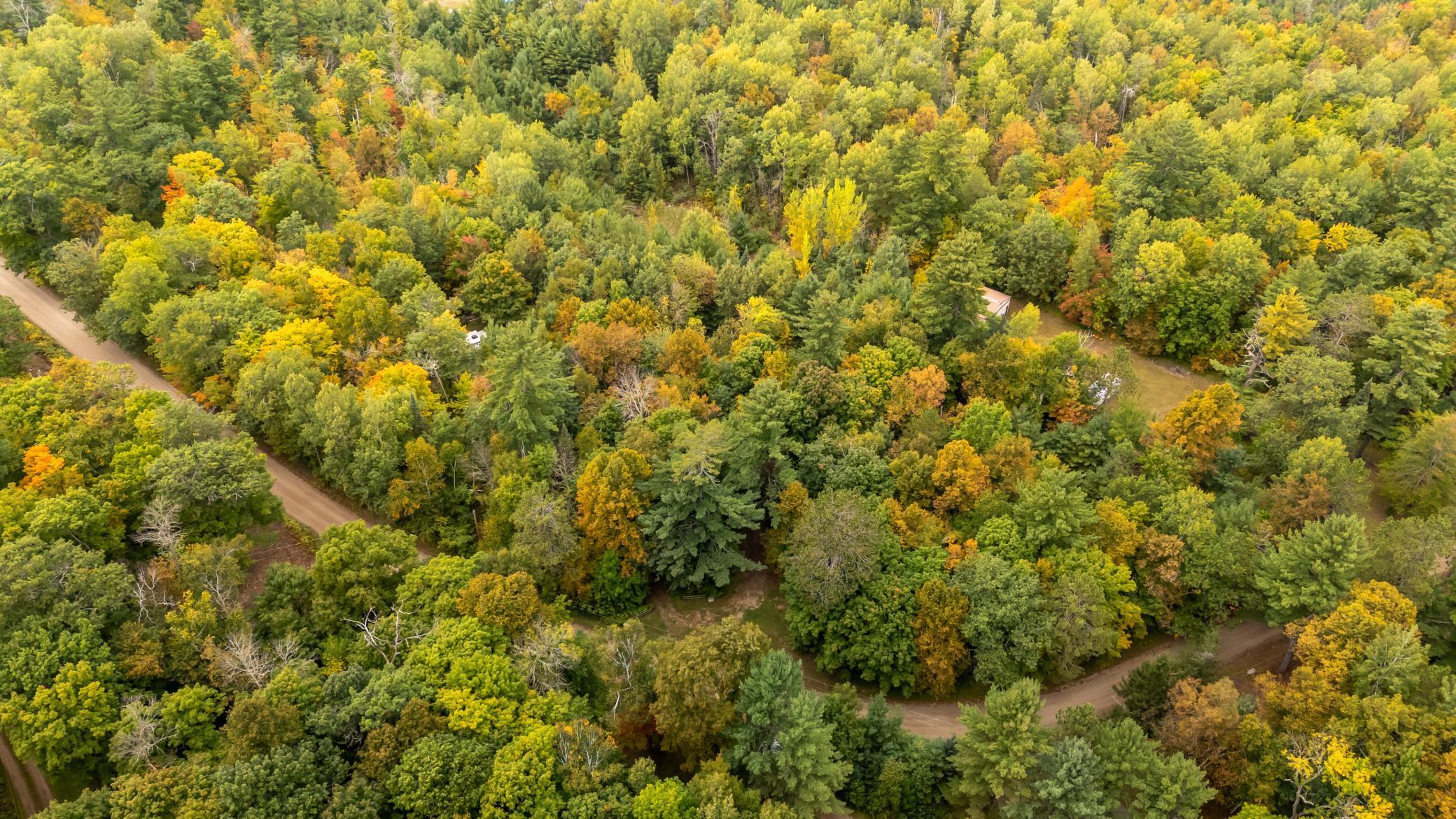 6279 Smokey Hollow Road Outing, MN 56662 - Photo 51 of 55