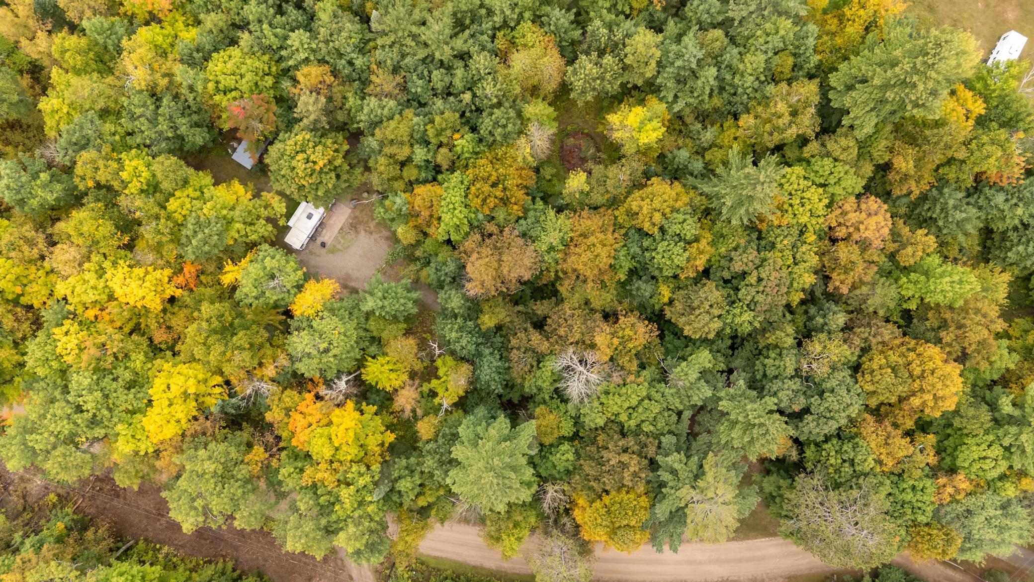 6279 Smokey Hollow Road Outing, MN 56662 - Photo 51 of 53