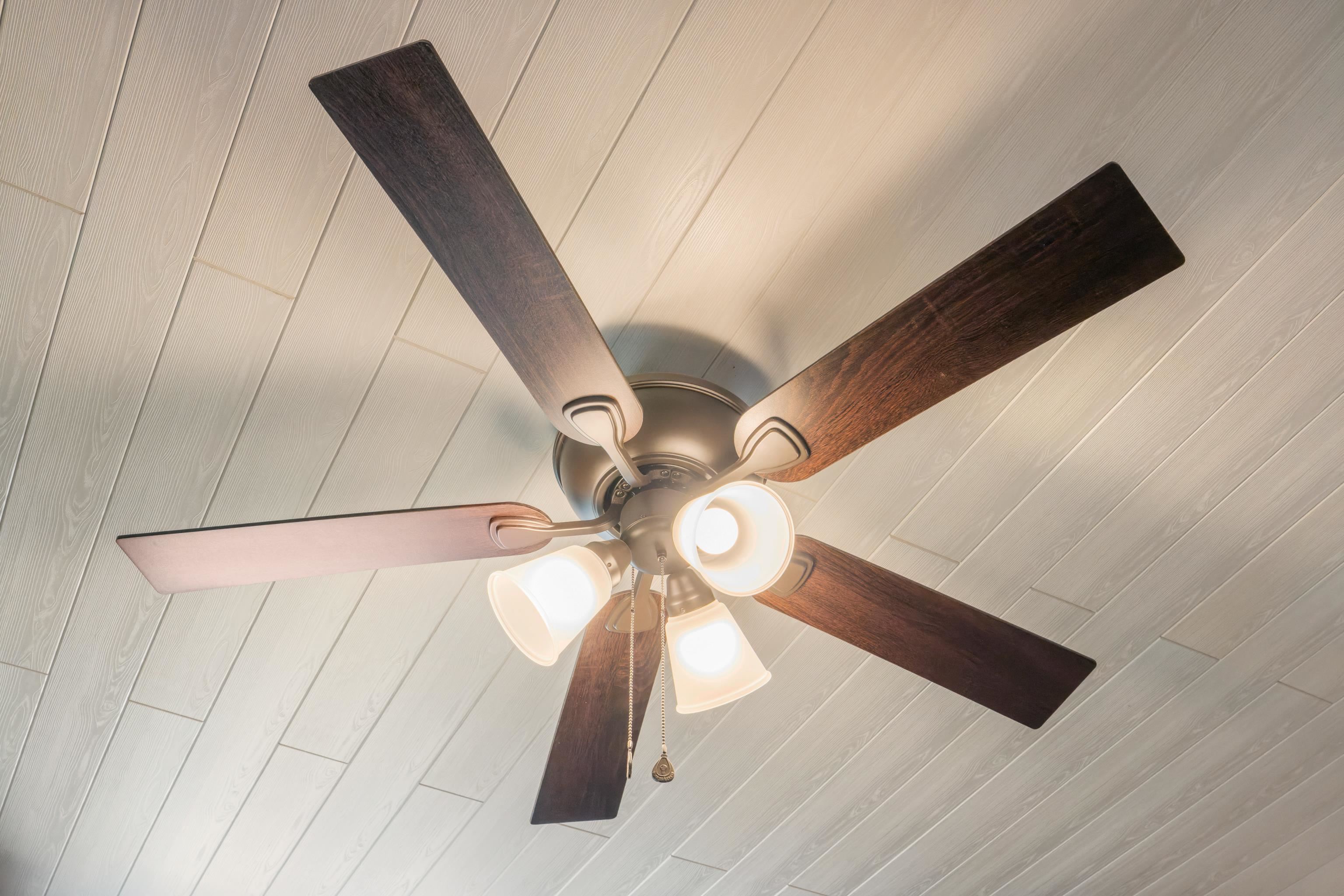 477 Chestnut Avenue Waynesboro, VA 22980 - Photo 11 of 49