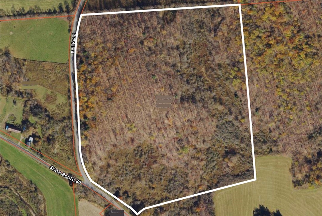 Bell Road New Berlin, NY 13411 - Photo 11 of 11