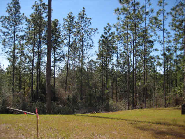 33733 Rutland Lane Daphne, AL 36527 - Photo 11 of 26 Privacy