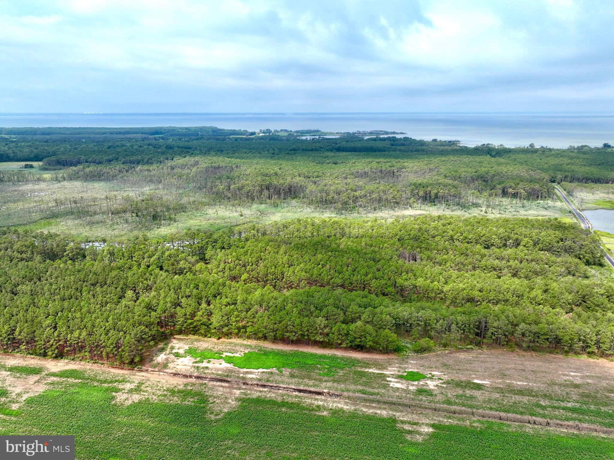 0 Hooper Neck Road Madison, MD 21648 - Photo 21 of 129