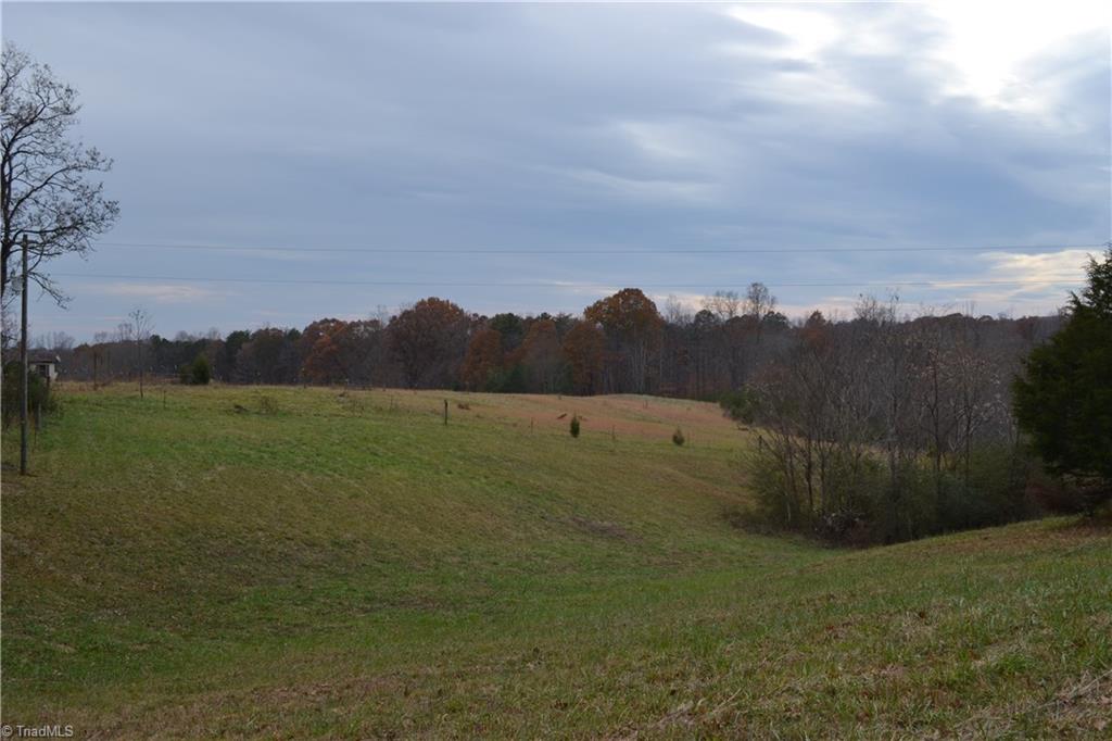 1216 Troy Joyce Road Madison, NC 27025 - Photo 4 of 5