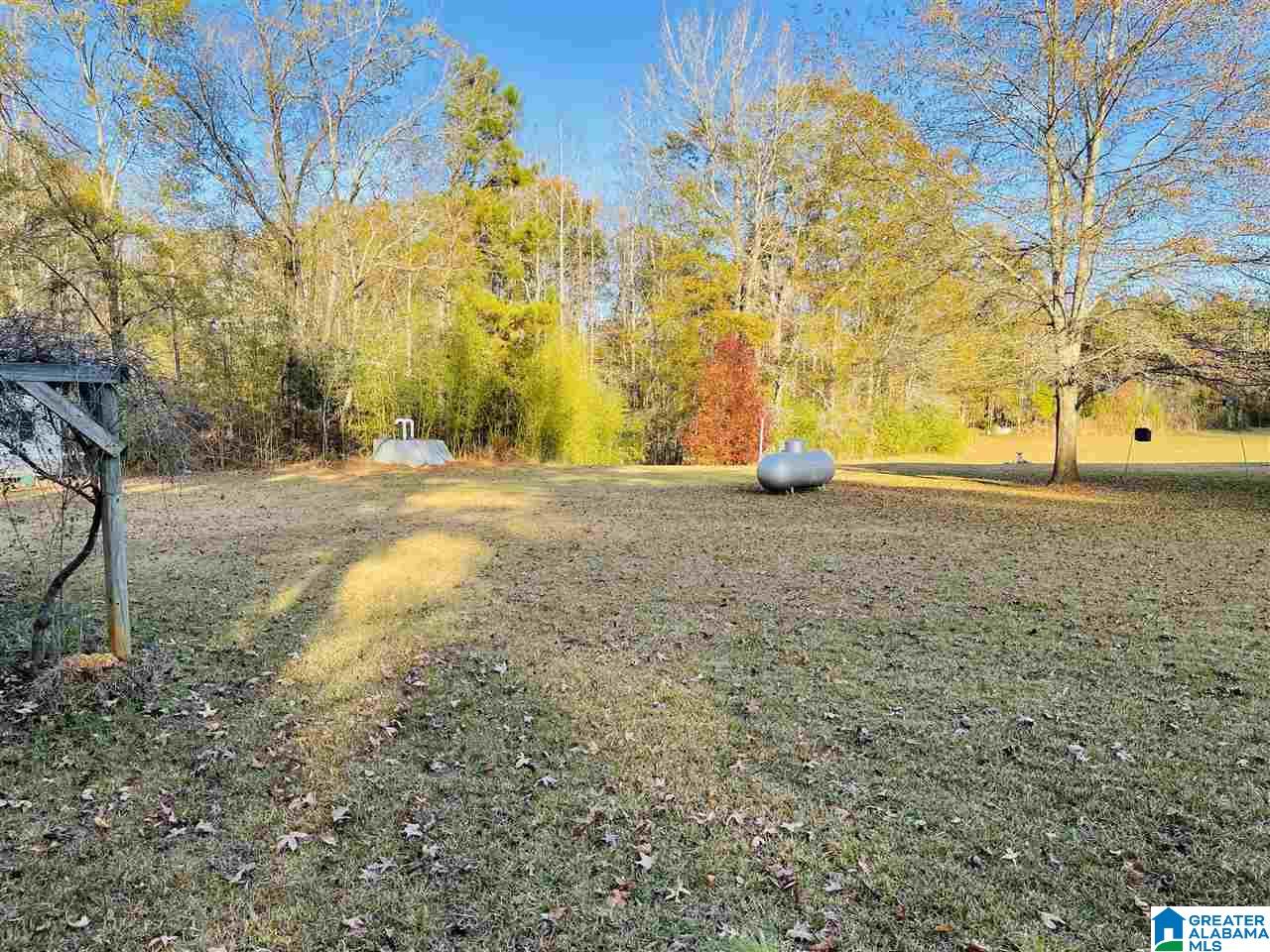 400 North Horton Road Wilsonville, AL 35186 - Photo 11 of 30