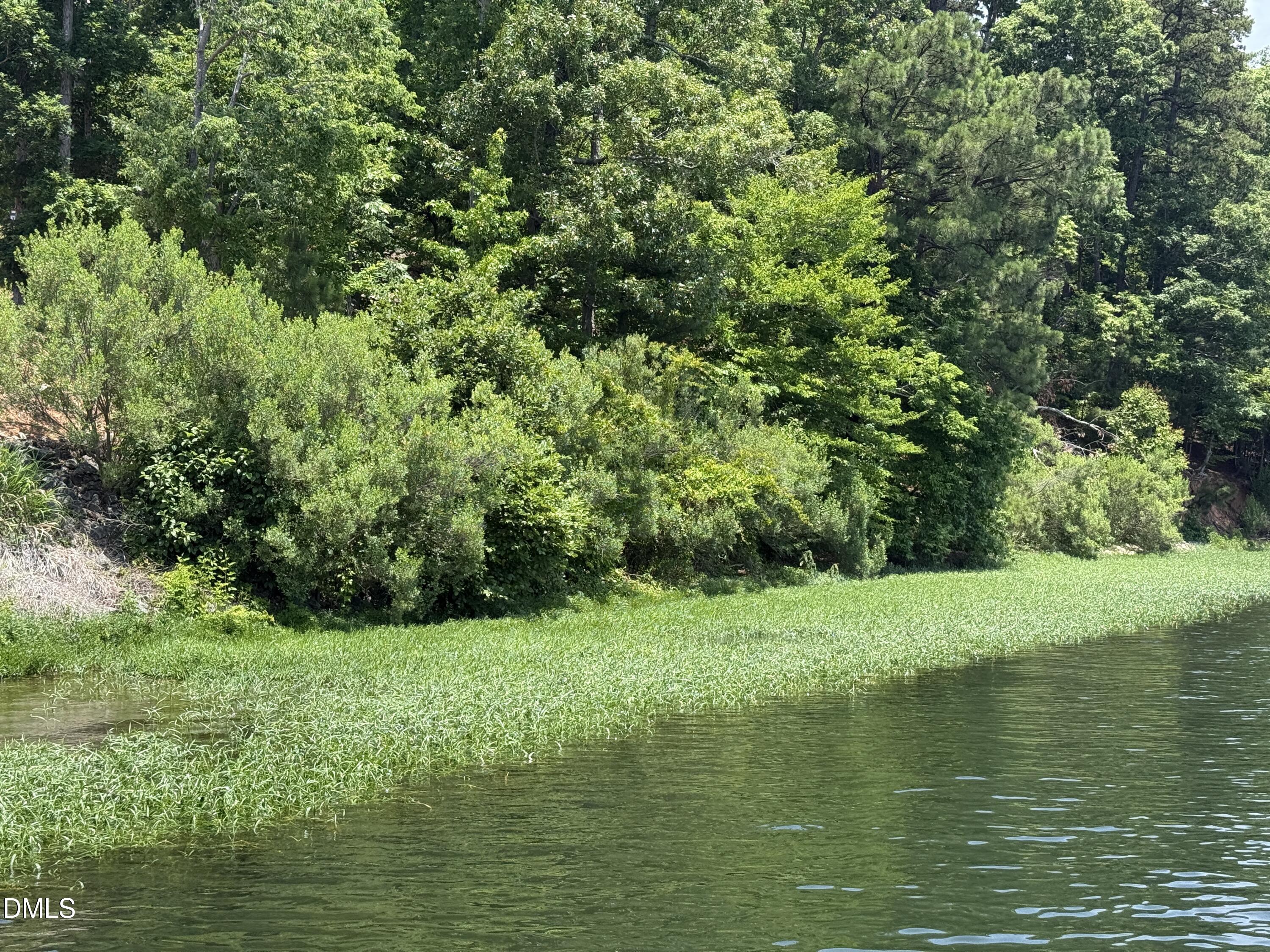 0 Edwards Ridge Road Littleton, NC 27850 - Photo 20 of 24