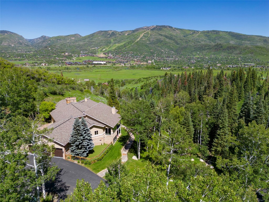 36370 Trail Ridge Road Steamboat Springs, CO 80487 - Photo 49 of 50