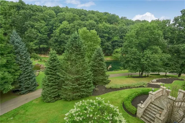 a view of a lake from a yard