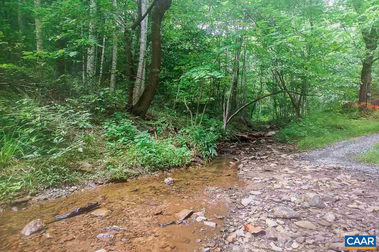 a view of forest