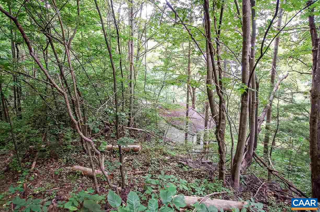 8024 Tabletop Mountain Road Dyke, VA 22935 - Photo 11 of 22