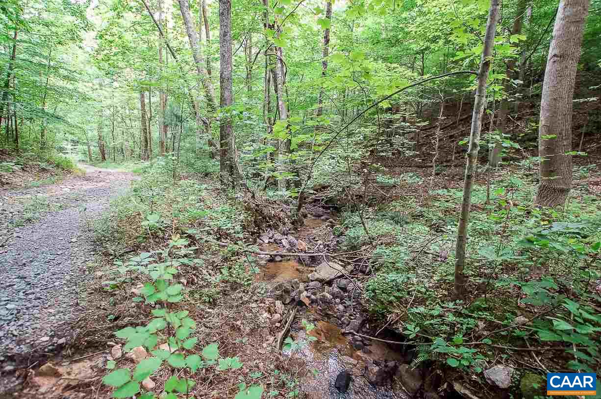8024 Tabletop Mountain Road Dyke, VA 22935 - Photo 18 of 22 a view of a forest that has large trees