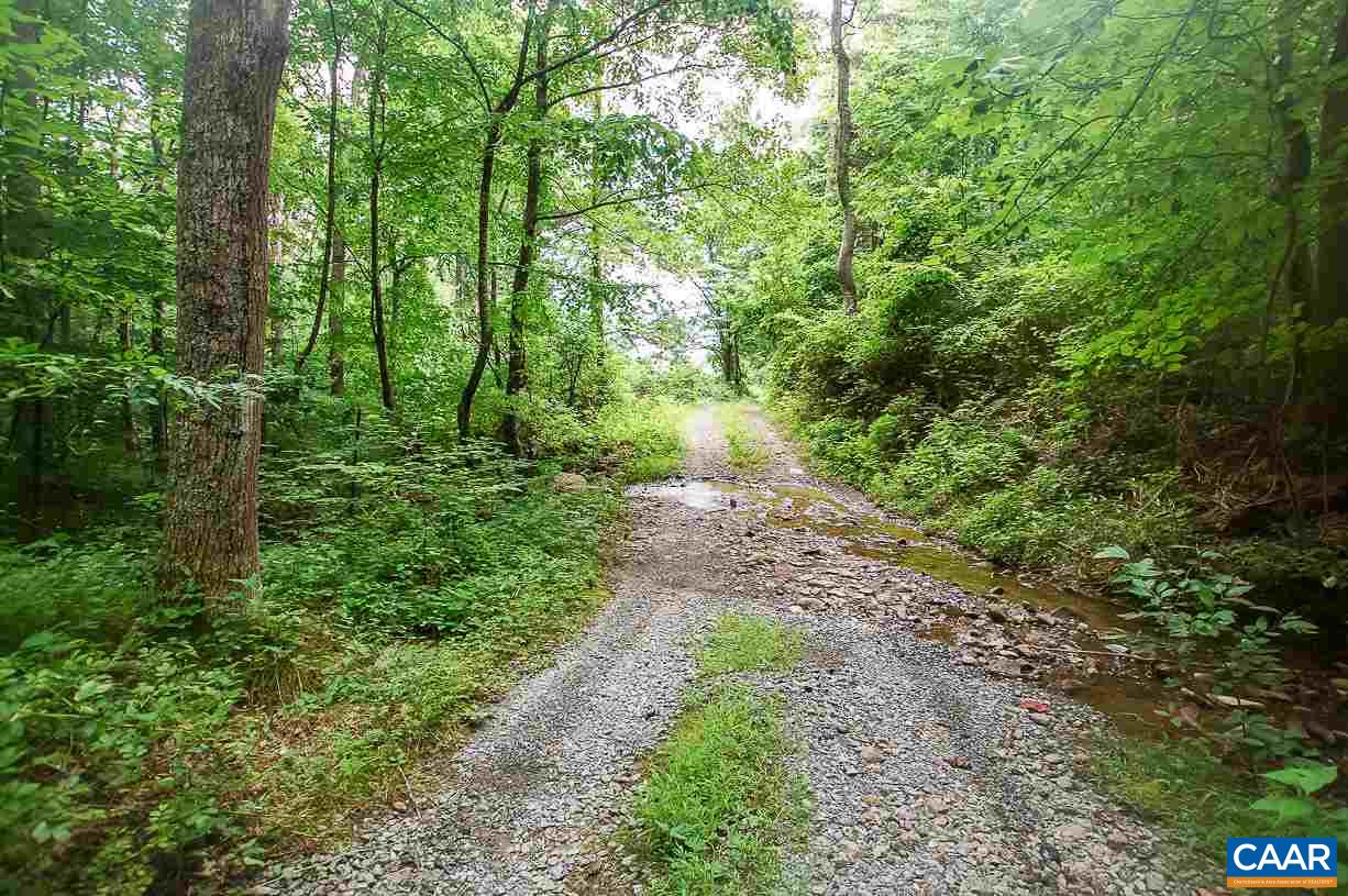8024 Tabletop Mountain Road Dyke, VA 22935 - Photo 4 of 22 a big yard with lots of green space and deers