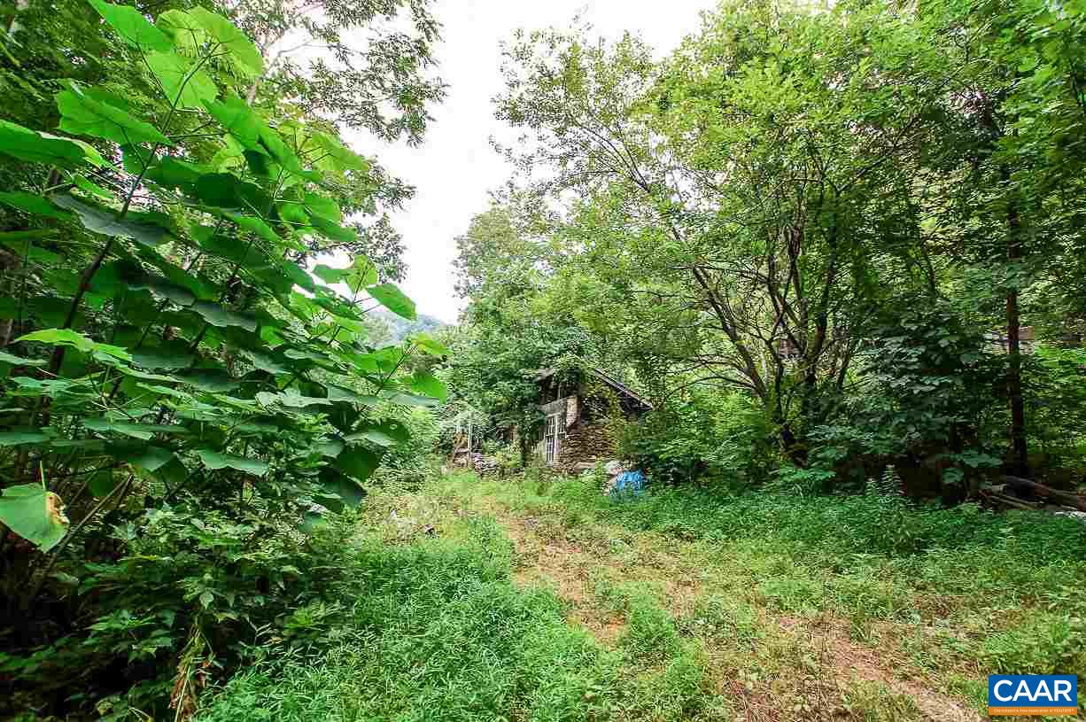 8024 Tabletop Mountain Road Dyke, VA 22935 - Photo 6 of 22 a plant view in yard