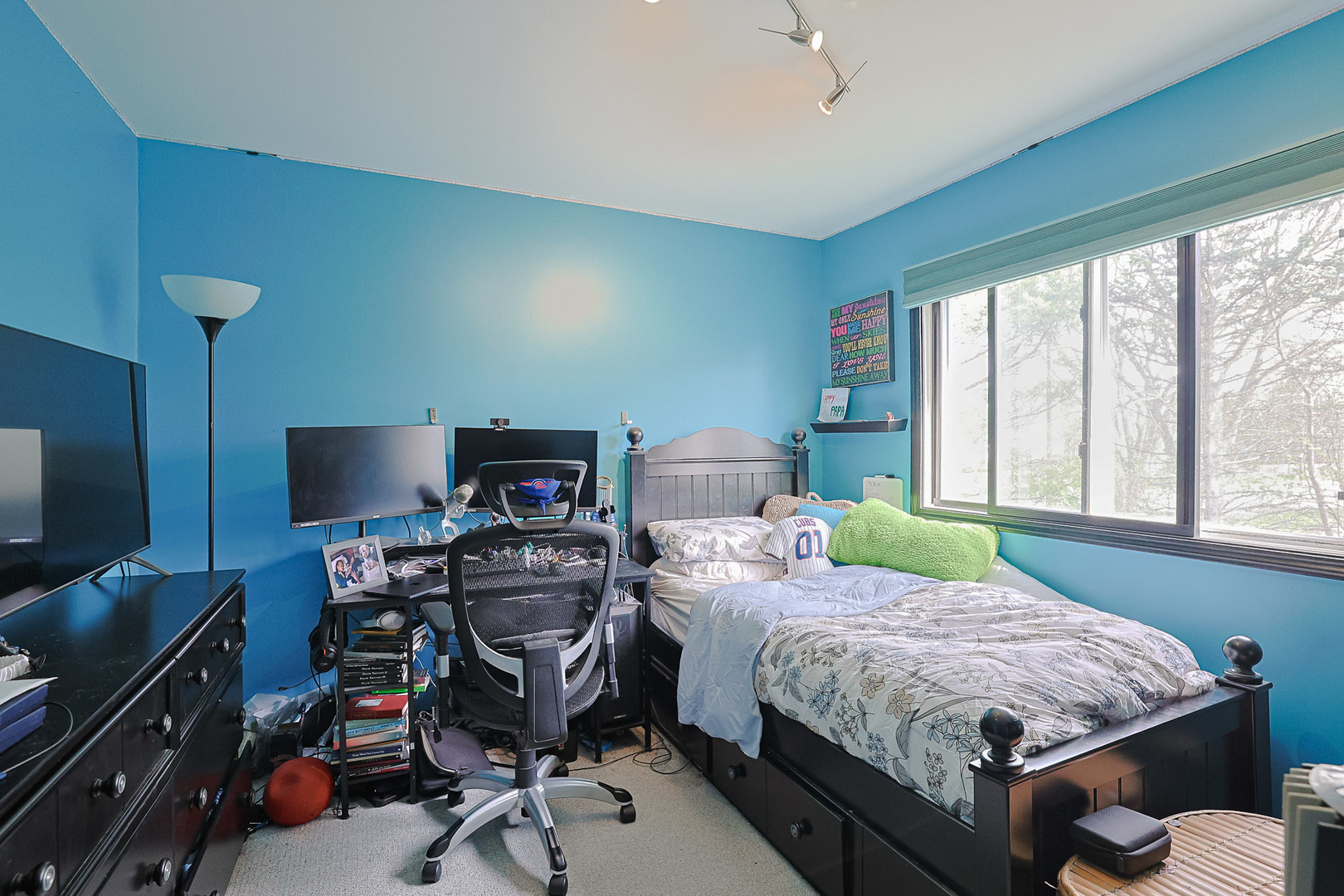 3 Chestnut Terrace Buffalo Grove, IL 60089 - Photo 17 of 39