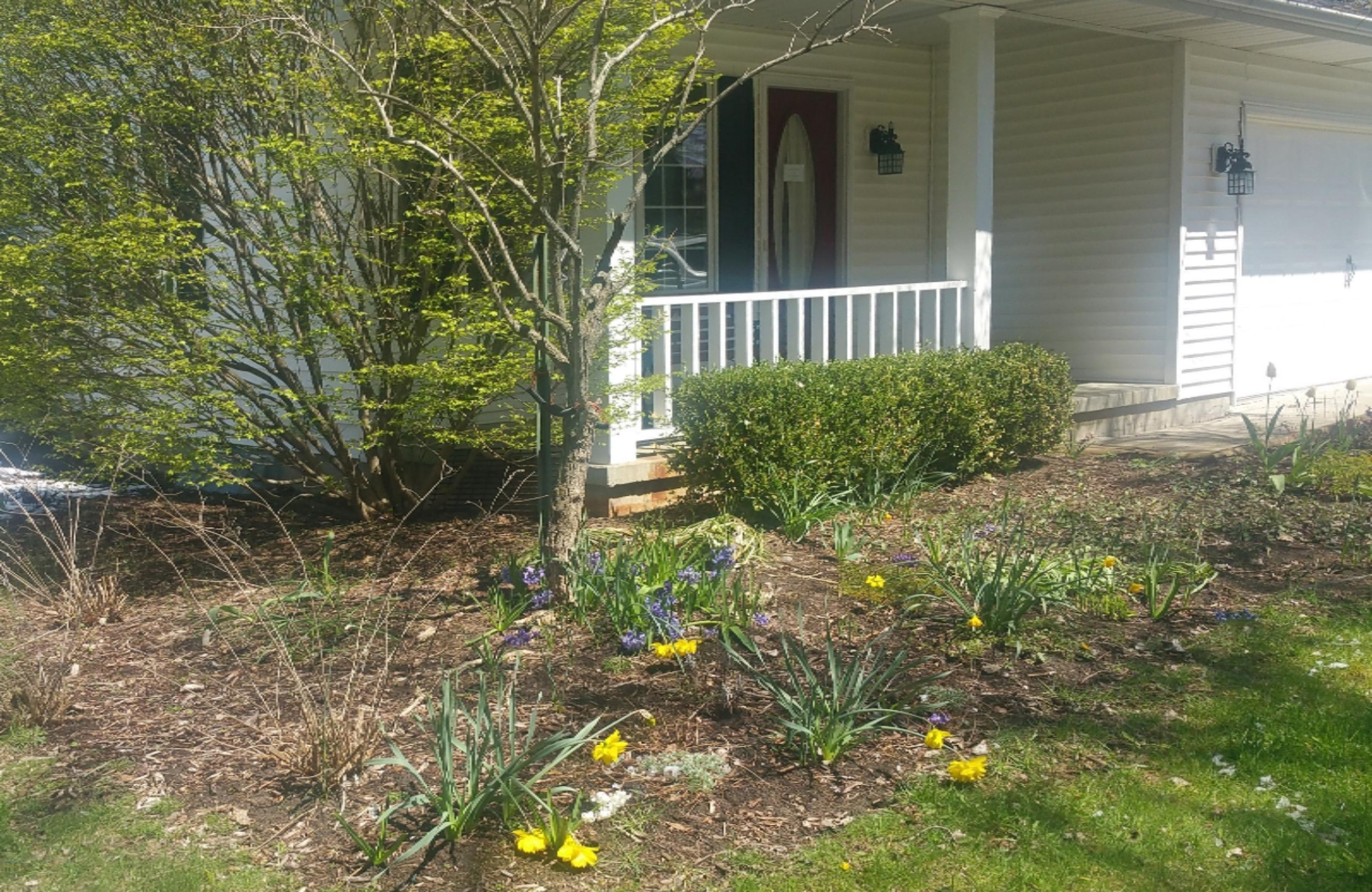 1647 Miners Road St. Joseph, MI 49085 - Photo 3 of 24 20190428_132131 (1)