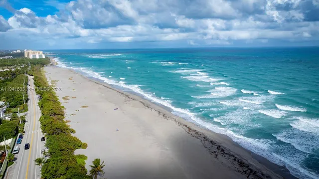 a view of a yard with an trees