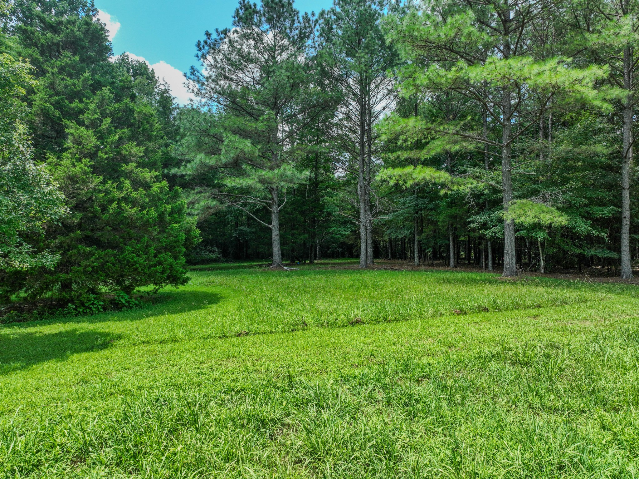 2545 Fall River Road Leoma, TN 38468 - Photo 18 of 71