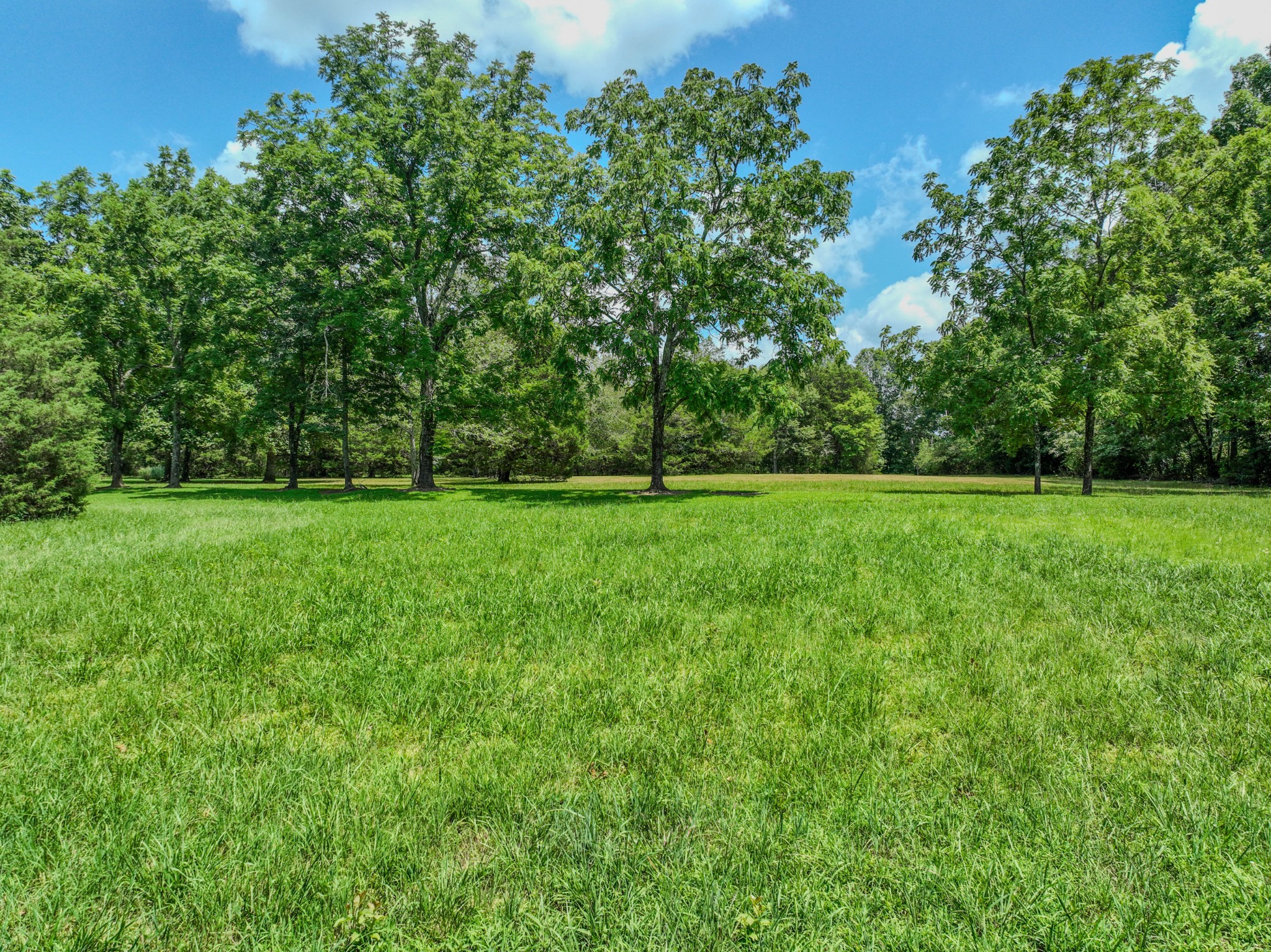 2545 Fall River Road Leoma, TN 38468 - Photo 20 of 71