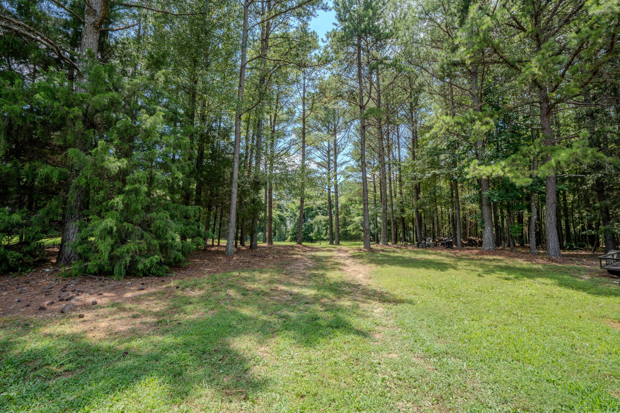 2545 Fall River Road Leoma, TN 38468 - Photo 32 of 71