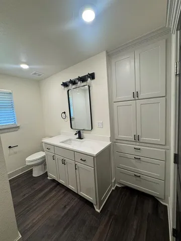a bathroom with a sink mirror toilet and vanity