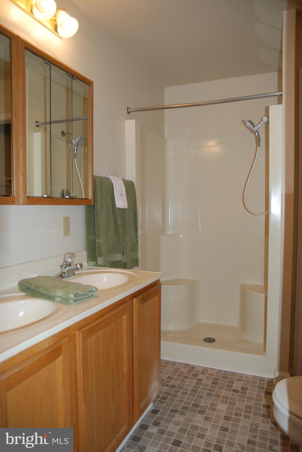 23765 Ruths Way Hollywood, MD 20636 - Photo 8 of 21 Bath (Master)