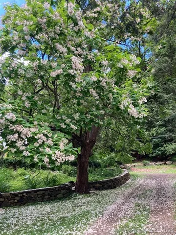 $6,000 | 25 Sandstrom Road, Washington, CT 06777
