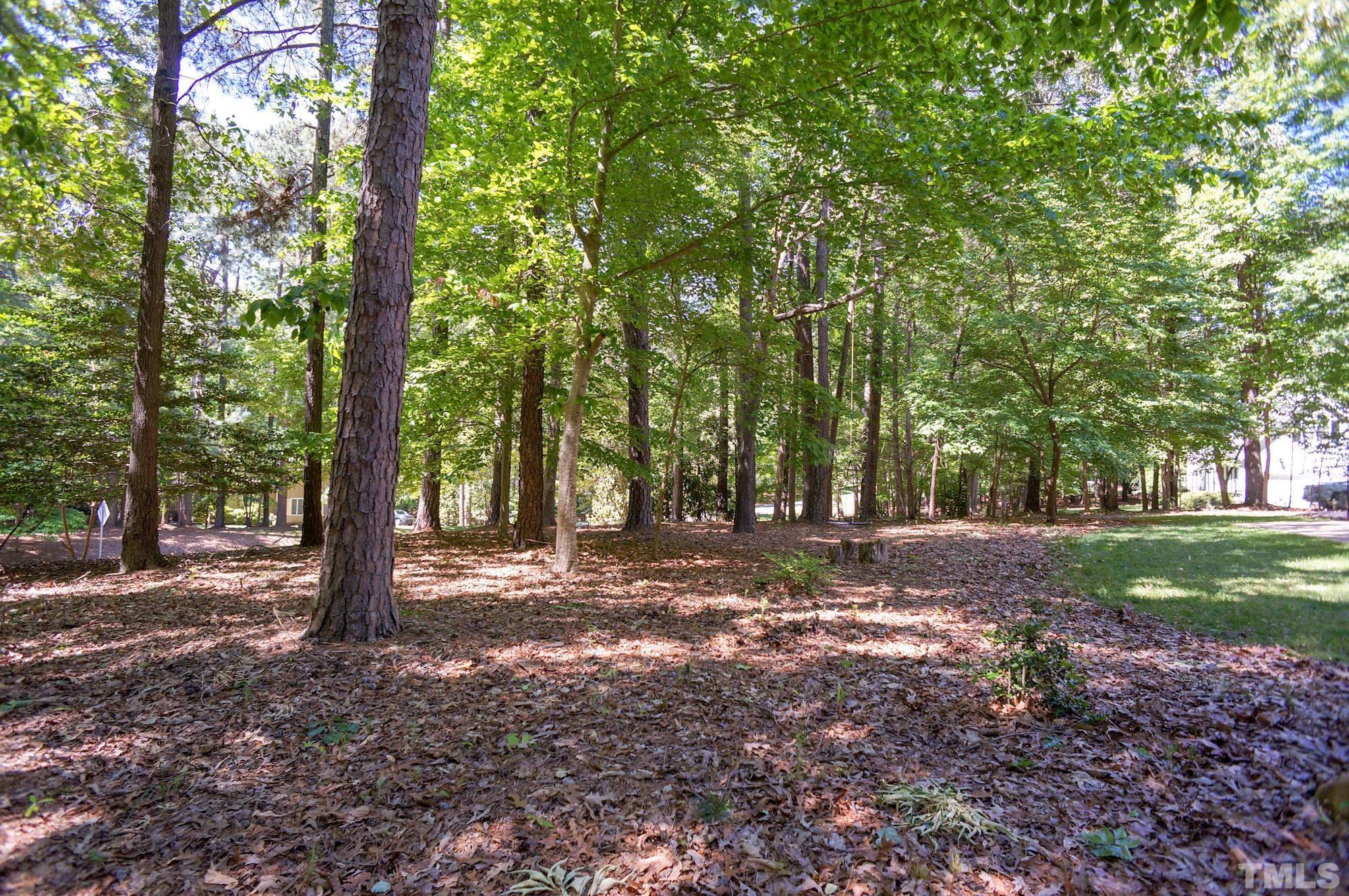 408 Emerywood Drive Raleigh, NC 27615 - Photo 39 of 44 a view of a forest with trees in the background