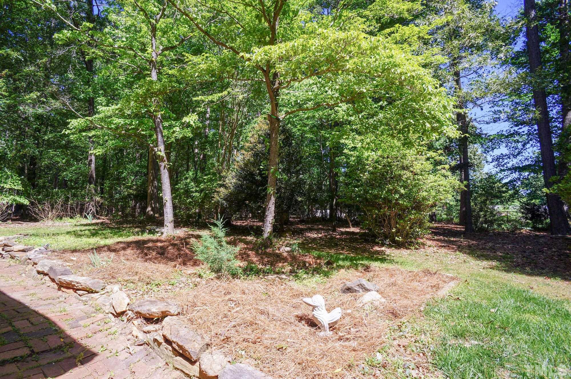 408 Emerywood Drive Raleigh, NC 27615 - Photo 40 of 44 a view of a yard with plants and trees