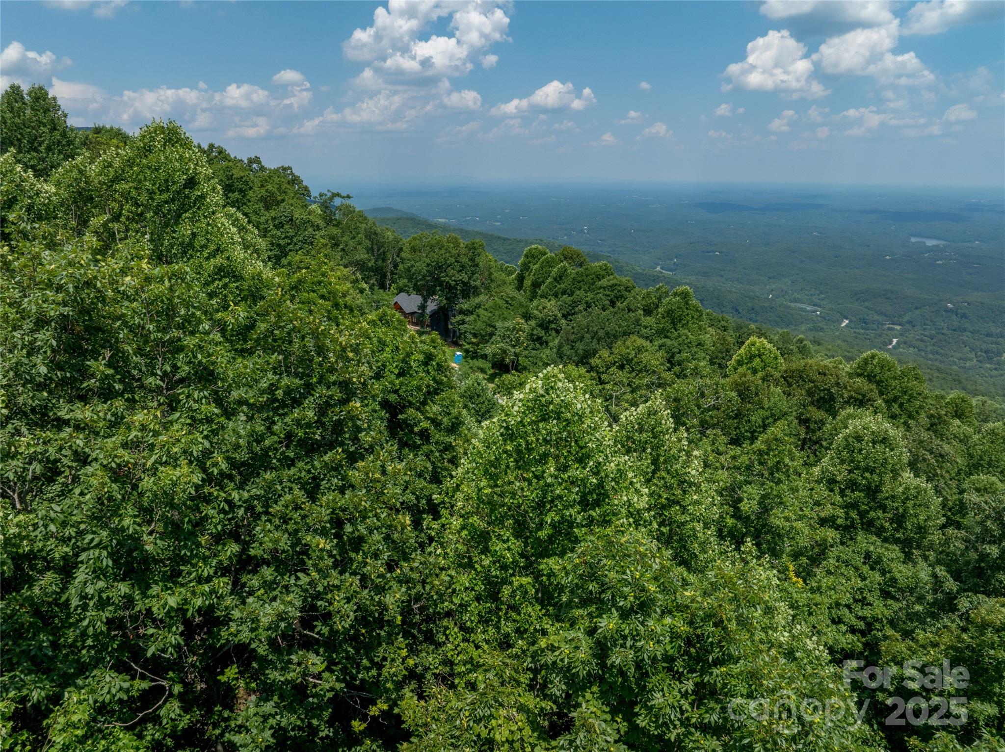 Lot 256 Haddington Dr Mill Spring West Mill Spring, NC 28756 - Photo 14 of 22 a view of a pathway in a yard