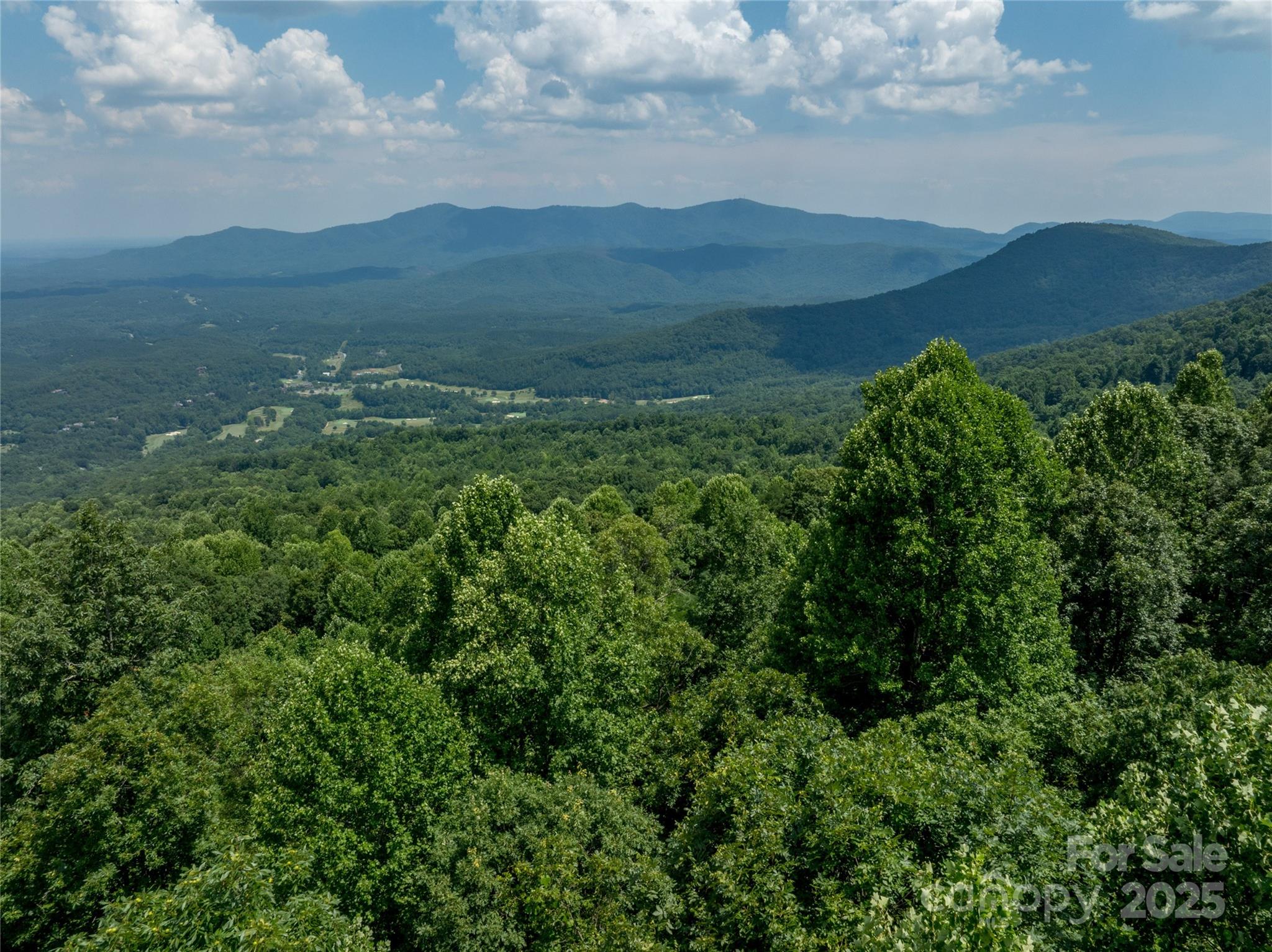 Lot 256 Haddington Dr Mill Spring West Mill Spring, NC 28756 - Photo 17 of 22